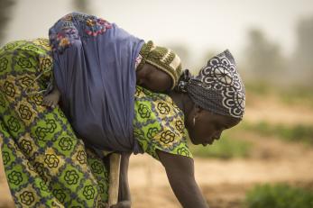 A woman in niger bends to tend a crop while carrying her sleeping baby strapped to her back