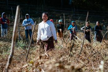 Guatemalan farmers in field of crops