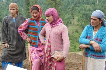 Women farmers preparing to plant potato seed