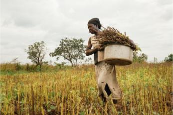 woman farmer holding crops and walking through field
