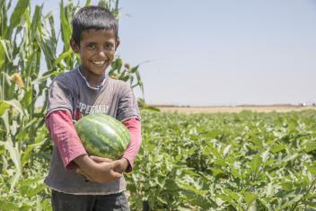 More than six years of conflict have damaged land across Syria and decimated many farmers’ livelihoods. Mercy Corps is working to help farmers get back on their feet and increase their outputs in plots like this one, where a young boy holds a watermelon that he picked from his grandfather's fields.
